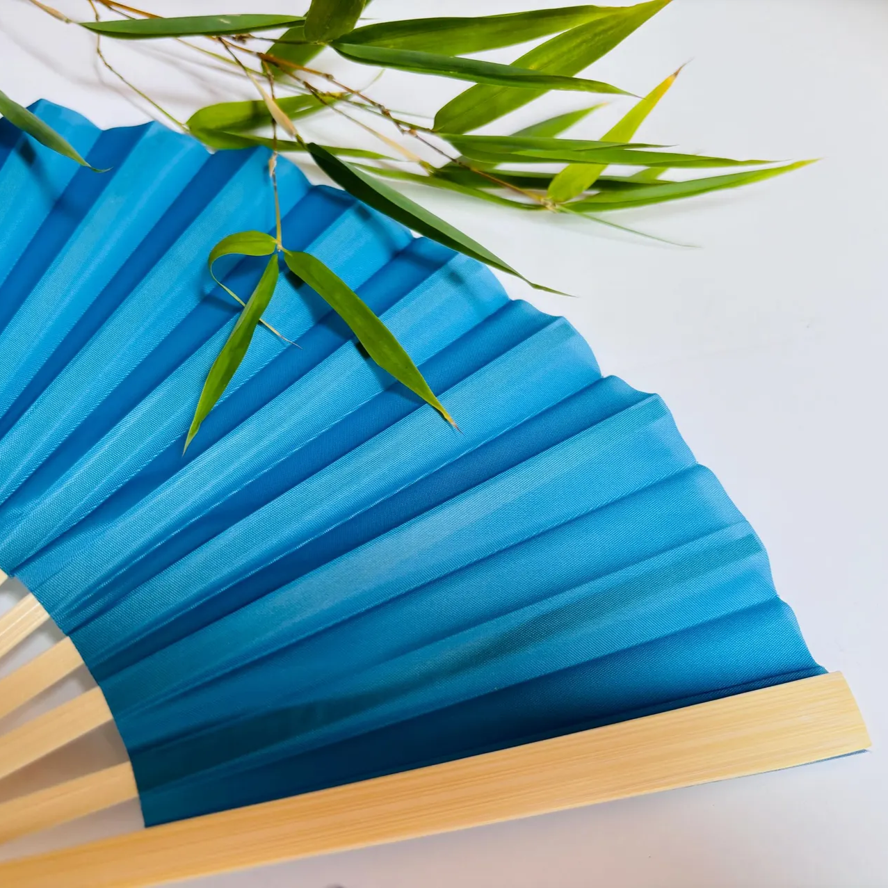 Baby Blue pleated fan with green leaves on a light gray background