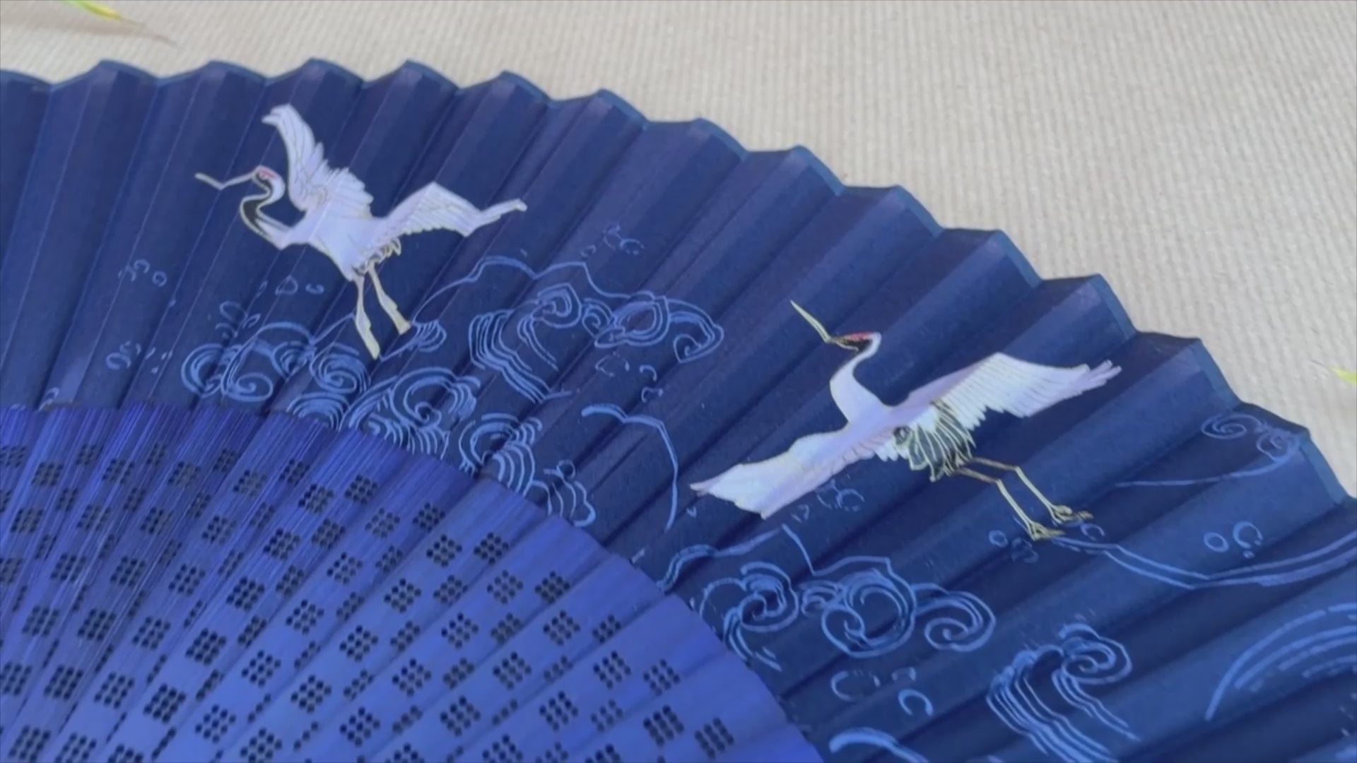 Load video: A woman wearing a blue dress holds a blue hand fan, exuding elegance and charm in her pose.